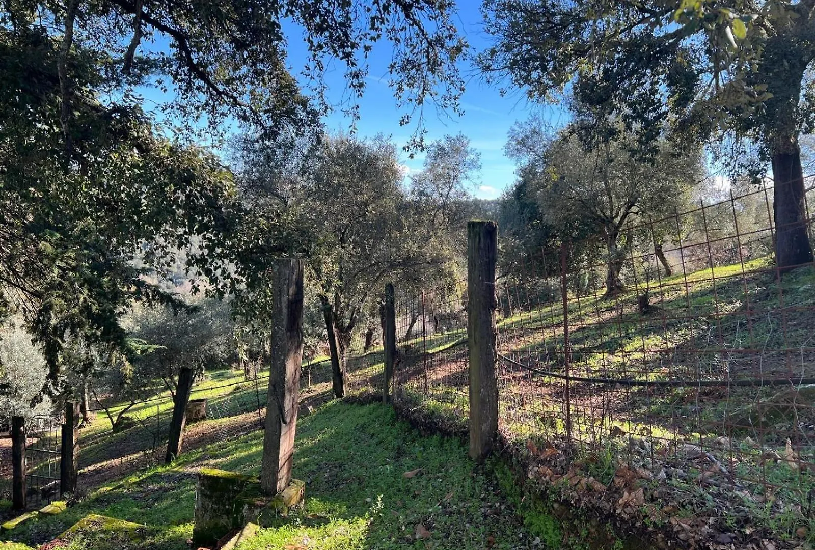 Villa Rural Las Nubes Cortegana Holiday home